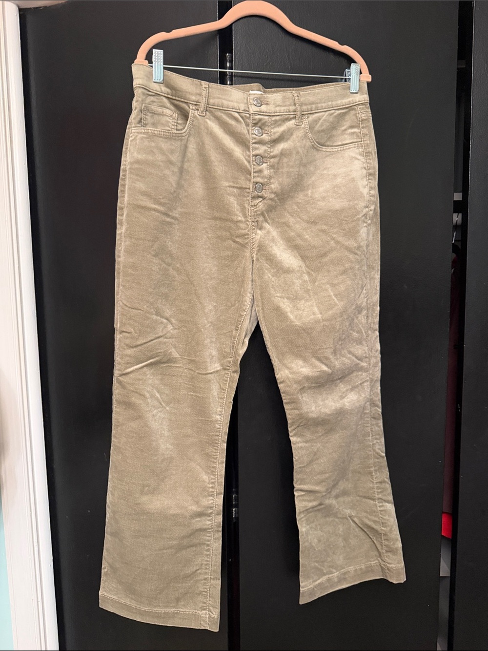 LOFT velvet crop Pants in Light Tan